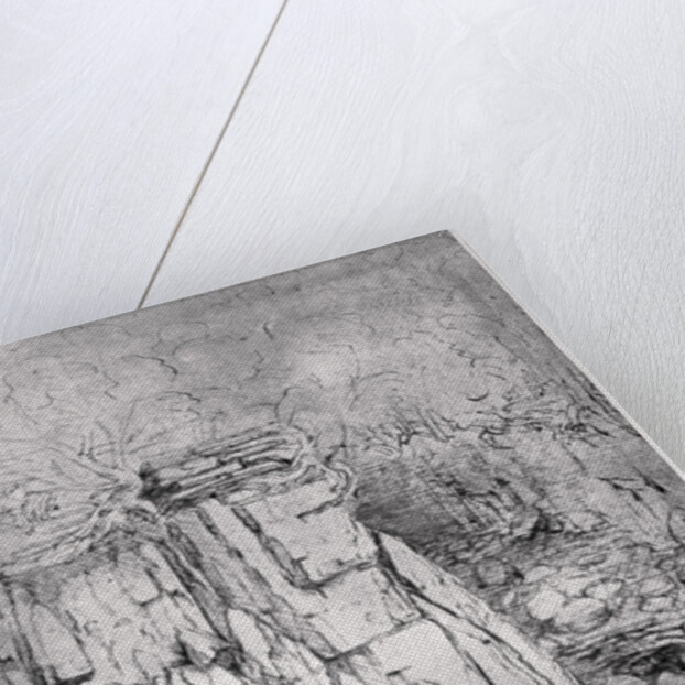 Study of a rocky cavern with ducks by Leonardo Da Vinci