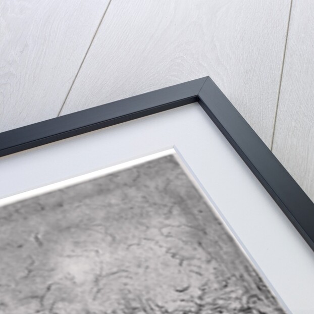 Study of a rocky cavern with ducks by Leonardo Da Vinci