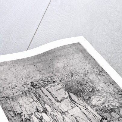 Study of a rocky cavern with ducks by Leonardo Da Vinci