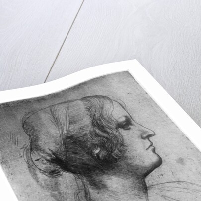 Portrait study of a young girl's head by Leonardo Da Vinci