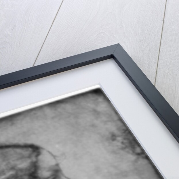 Portrait of Isabella d'Este by Leonardo Da Vinci