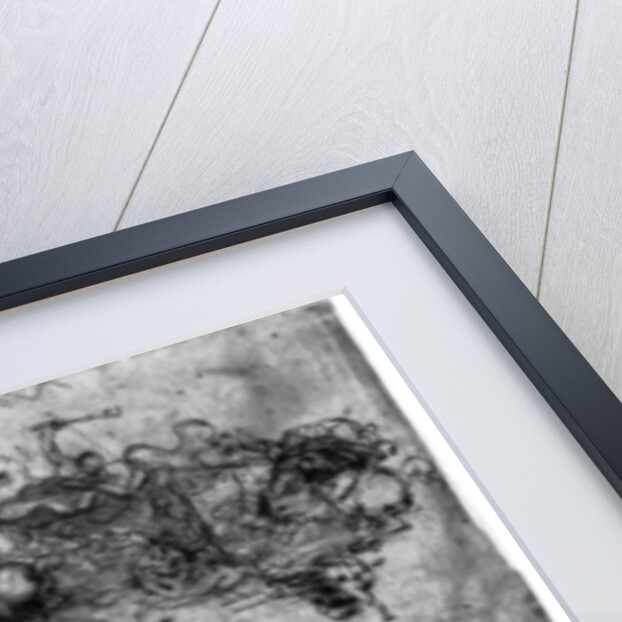 Study for 'The Battle of Anghiari' by Leonardo Da Vinci