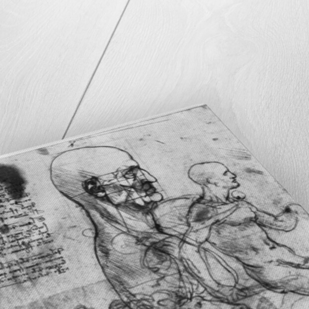 Profile of a man's head and studies of two riders by Leonardo Da Vinci