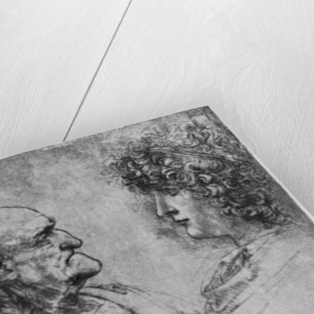 Studies of heads by Leonardo Da Vinci