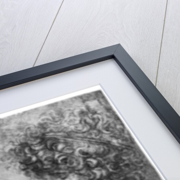 Studies of heads by Leonardo Da Vinci