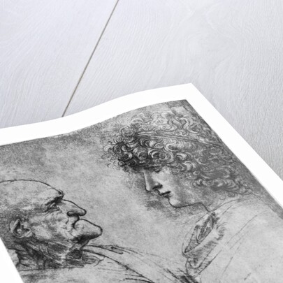 Studies of heads by Leonardo Da Vinci