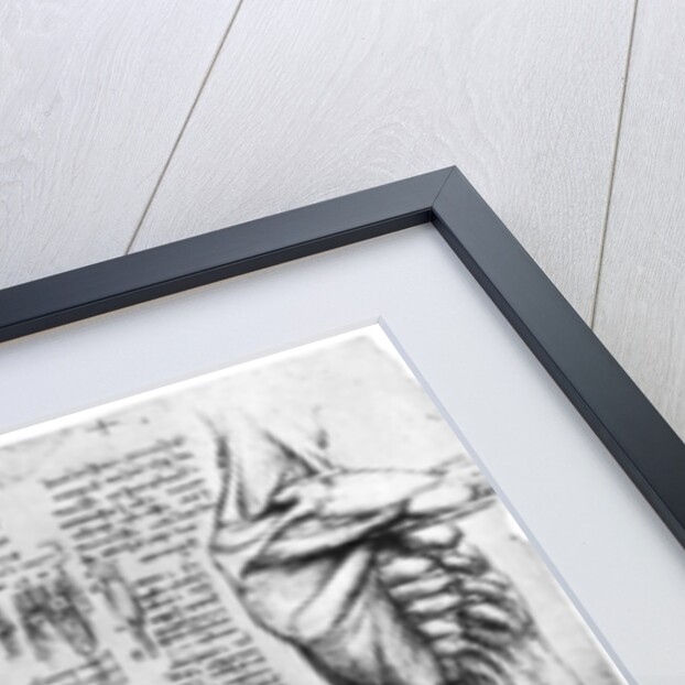 Muscle studies by Leonardo Da Vinci