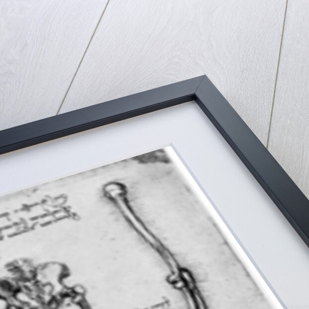 Study of human bones by Leonardo Da Vinci
