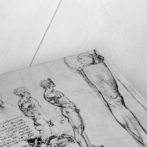 Nude studies for 'The Battle of Anghiari' by Leonardo Da Vinci