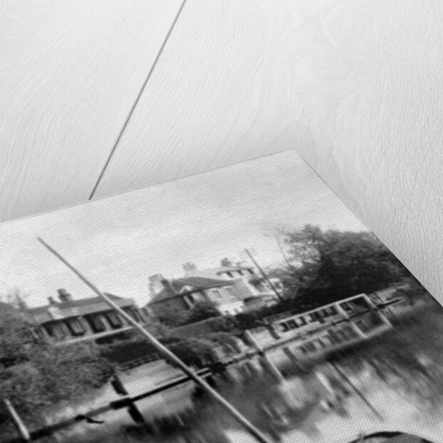 The Thames near Weybridge, Surrey, England by Anonymous