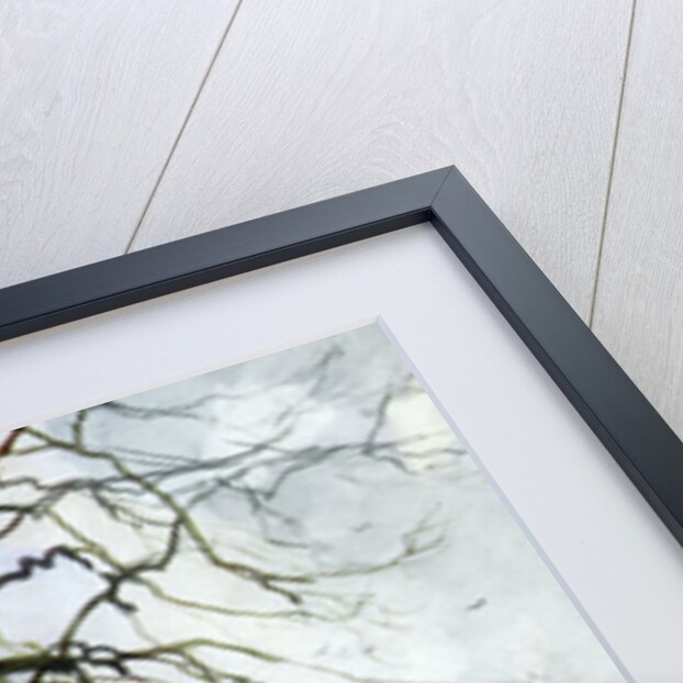 Salisbury Cathedral, Wiltshire by George F Nicholls