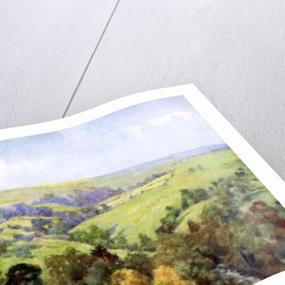 On the Hills near Harrogate, Yorkshire by George F Nicholls