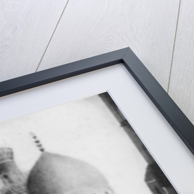 The native quarter, Cairo, Egypt by Anonymous