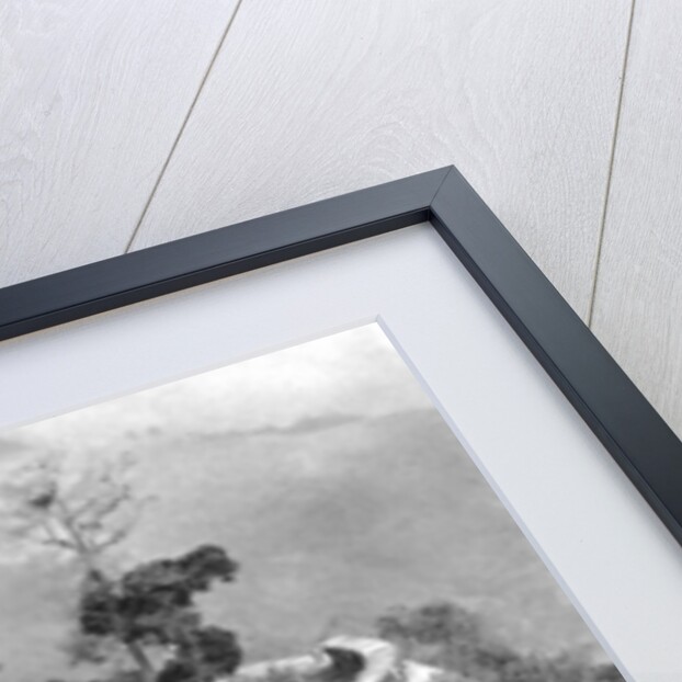 A single loop in the Darjeeling Himalayan Railway, India by Anonymous