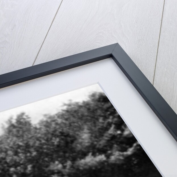 Zoological Gardens, Palermo Park, Buenos Aires, Argentina by Anonymous