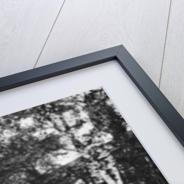 Staple Inn, Holborn, London by Humphrey Joel