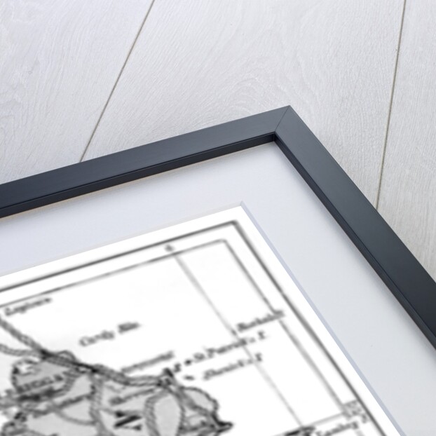 Map of County Dublin, Ireland by Anonymous