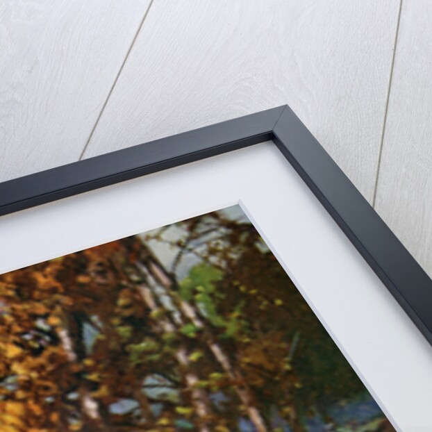 Hereford Cathedral, from the river walk, Herefordshire by Louis Burleigh Bruhl