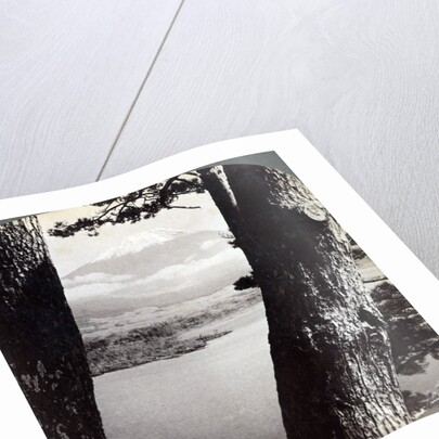 Mount Fuji, seen from the northwest, through pines at Lake Motosu, Japan by Underwood & Underwood