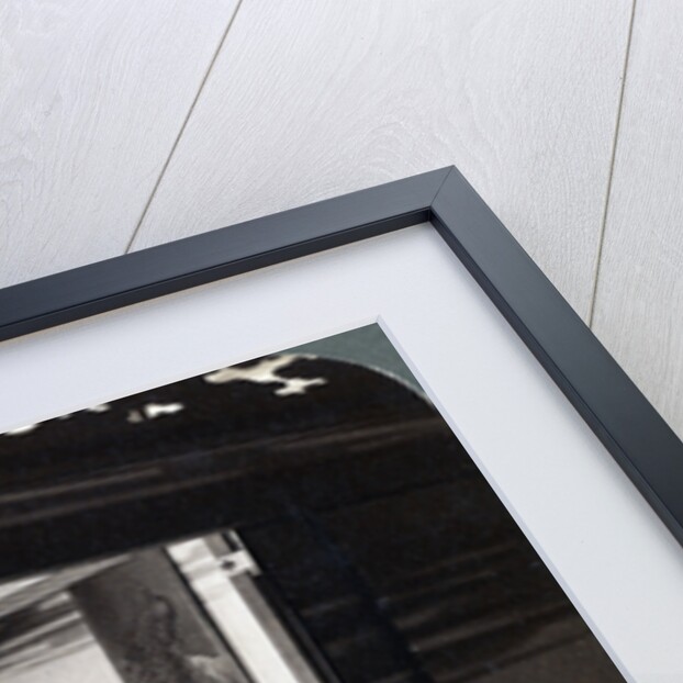 Home of Count Okuma, Tokyo, Japan by Underwood & Underwood