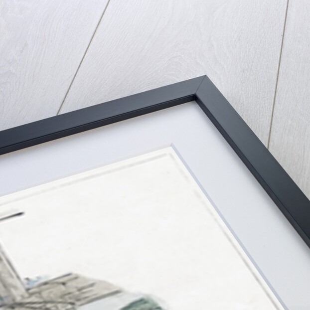 A print from The Little Folk's Nature Painting Book by Kate Greenaway by Anonymous