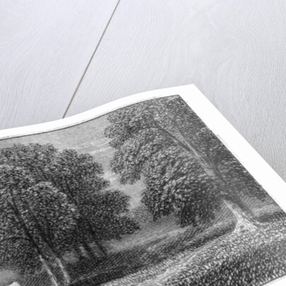 Coley Park, Berkshire by Anonymous