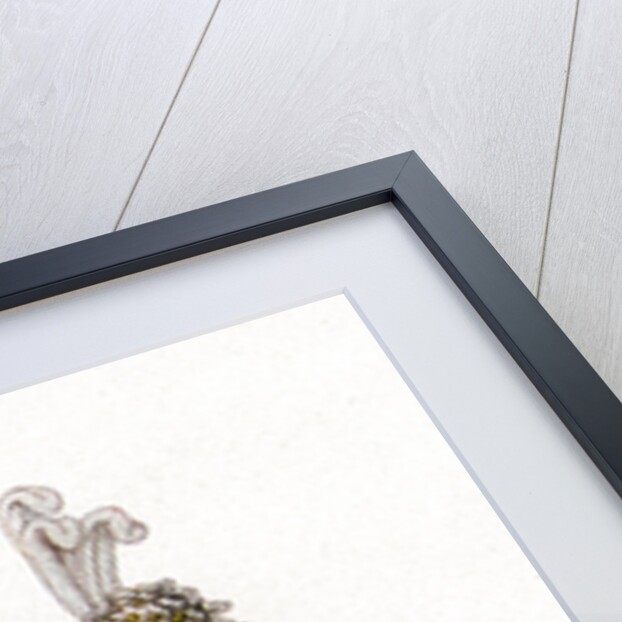 Gallery of fashion, London by Anonymous