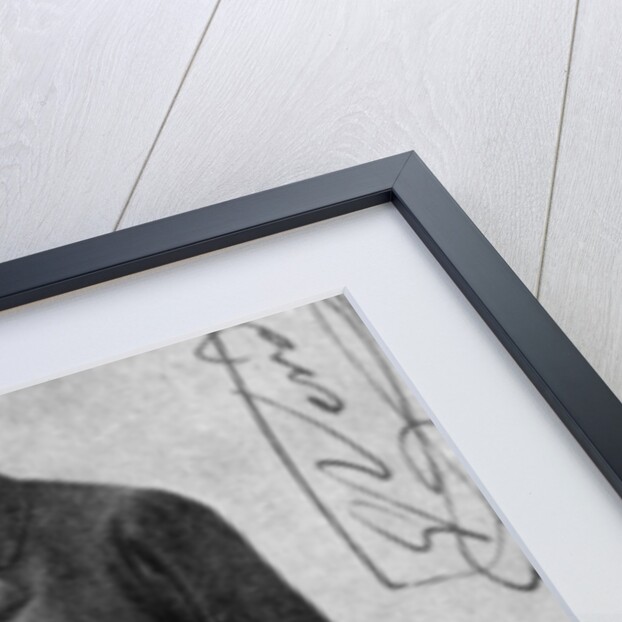 Giuseppe Verdi, Italian Romantic composer, aged 84 by J Milne