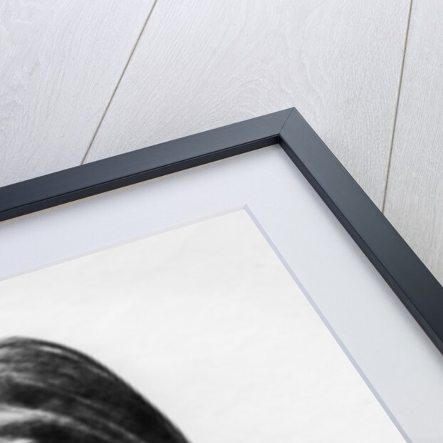 Sir Samuel Hoare, British statesman by Edmond Xavier Kapp