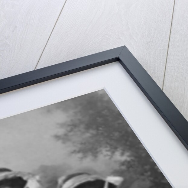 Three young women, photographed in Gales Studios by Anonymous