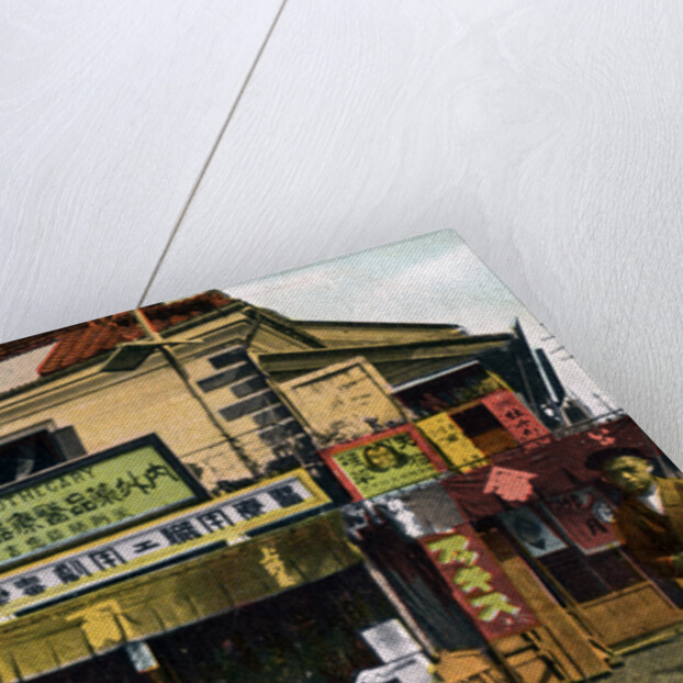 Chemist's shop, Yokohama, Japan by Anonymous