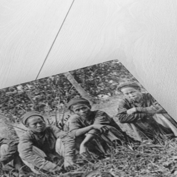 Tiger hunters, Tonkin, Vietnam by Anonymous