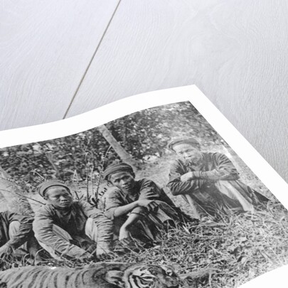 Tiger hunters, Tonkin, Vietnam by Anonymous