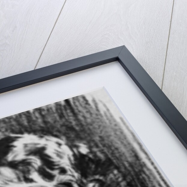 Study of Lady Elizabeth Bowes-Lyon by John Singer Sargent