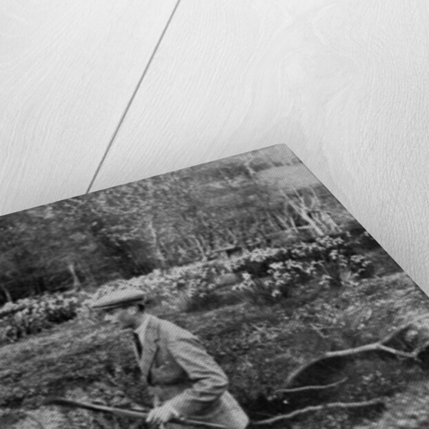 Lady Elizabeth Bowes-Lyon and the Duke of York at her Hertfordshire Home near Welwyn by Anonymous