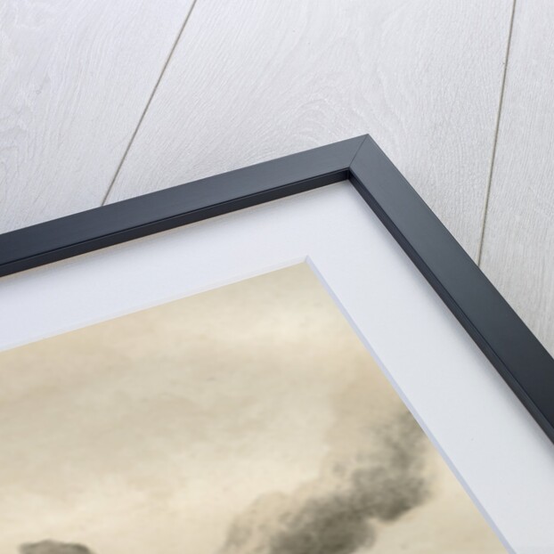 Taking a Maori redoubt, Maori Wars by McFarlane and Erskine