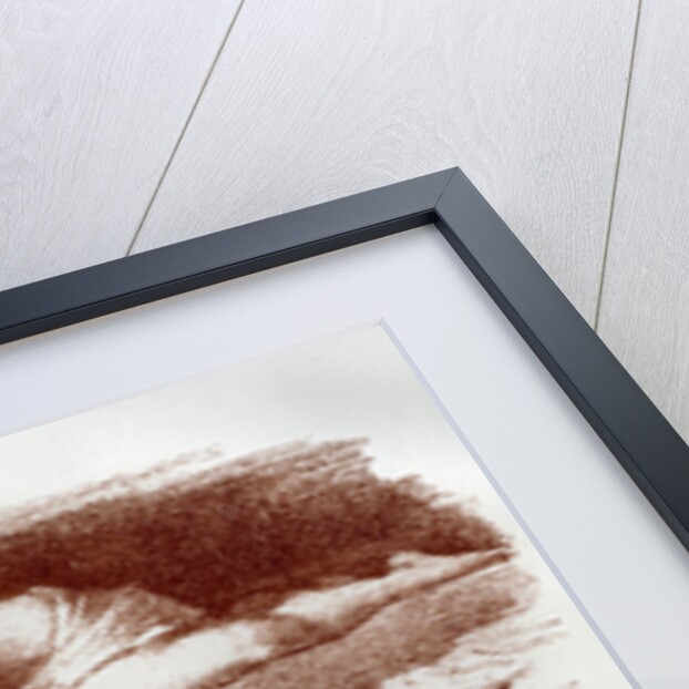 The Dreamers by Georges McCulloch