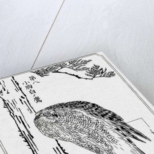 A hawk by Kawanabe Kyôsai
