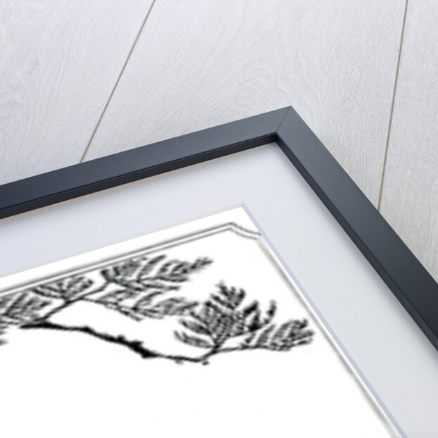 A hawk by Kawanabe Kyôsai