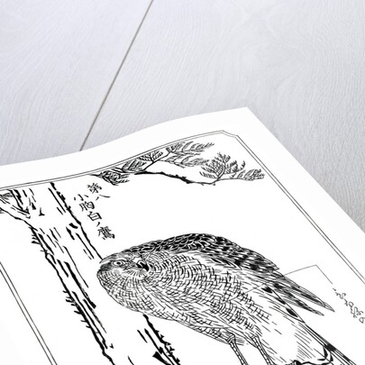 A hawk by Kawanabe Kyôsai