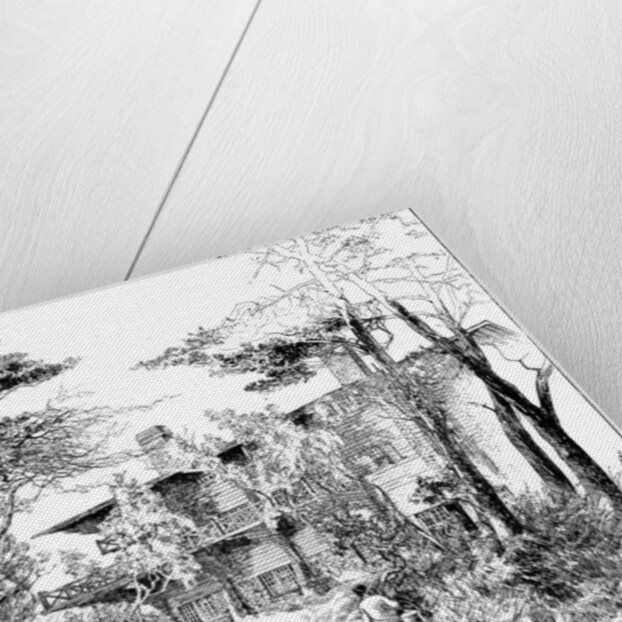 The log house 'Idaho', near Ringwood, Hampshire by Edward William Charlton