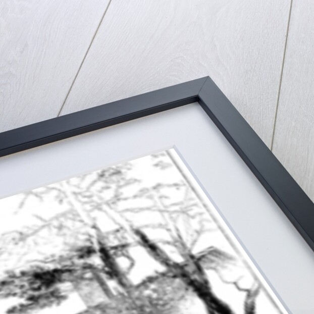 The log house 'Idaho', near Ringwood, Hampshire by Edward William Charlton