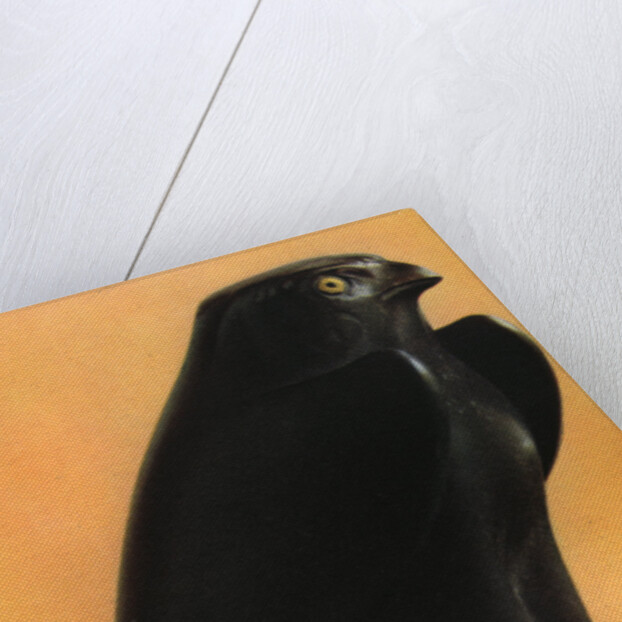 A Horus falcon, c600 BC by Anonymous