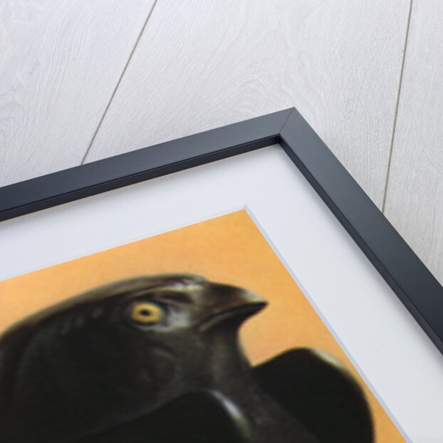 A Horus falcon, c600 BC by Anonymous