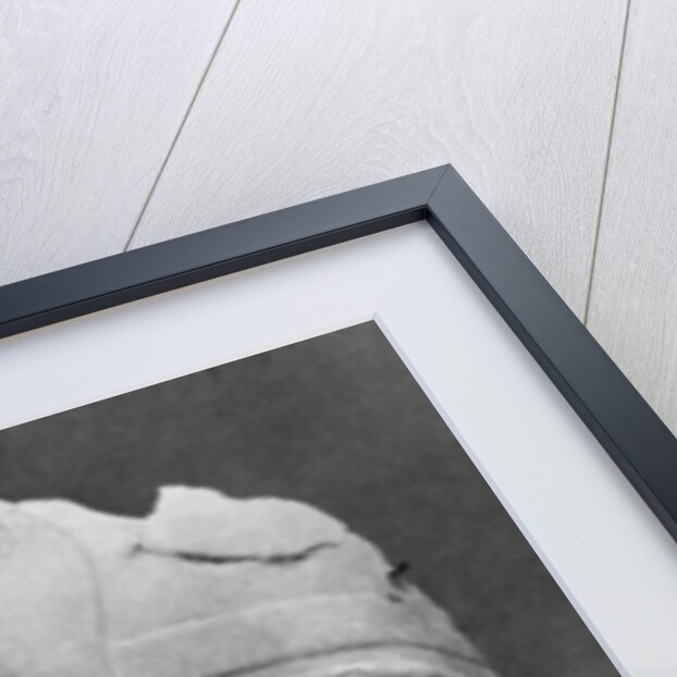 Khafre (2520BC-2494BC), Ancient Egyptian Pharoah by Anonymous