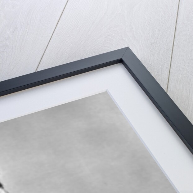 Rameses II (1279 BC-1213 BC), Ancient Egyptian Pharaoh, c1250 BC by Anonymous