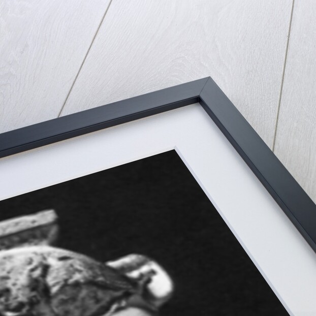 The God Bes, c350 BC by Anonymous