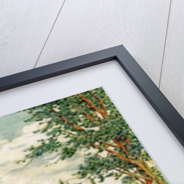 Timothy Dexter House, Newburyport, Massachusetts, USA by James Preston