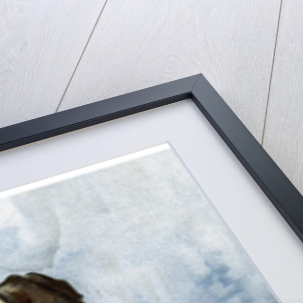 A Tibetan fortune teller by Anonymous