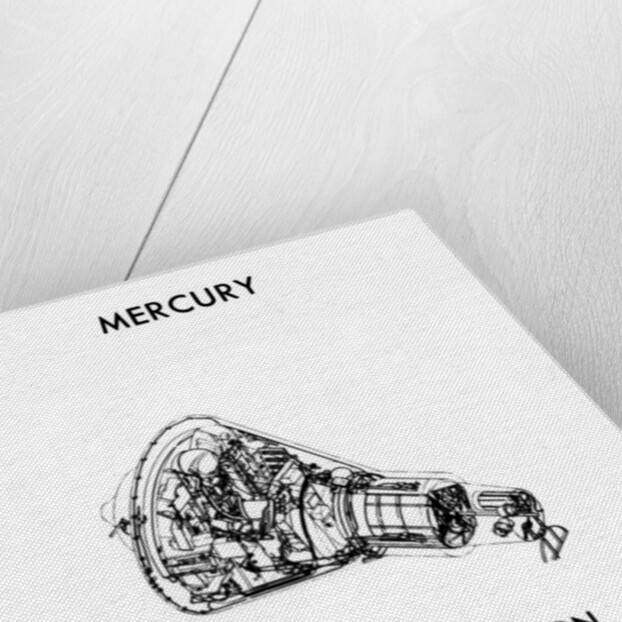 A NASA Mercury-Atlas Module by NASA